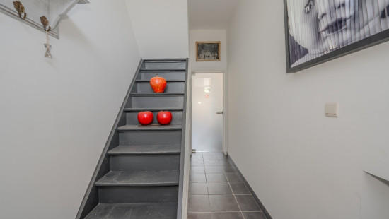 Rue du Tige - 180 - - 4450