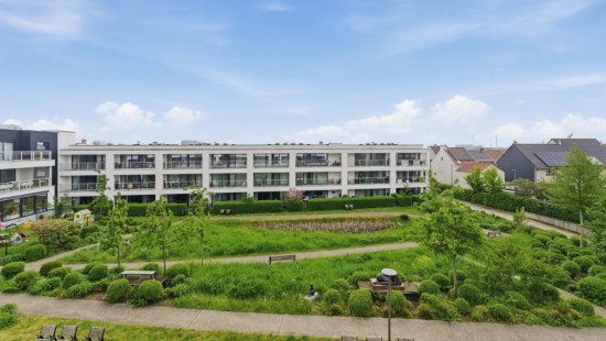 Zuidburgweg - 56 - 0214 - 8630