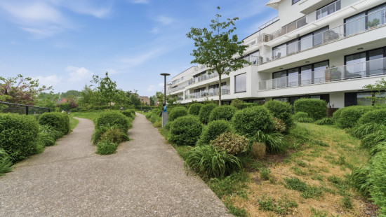 Zuidburgweg - 56 - 0214 - 8630