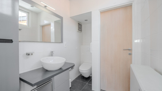 Rue du Tige - 180 - - 4450