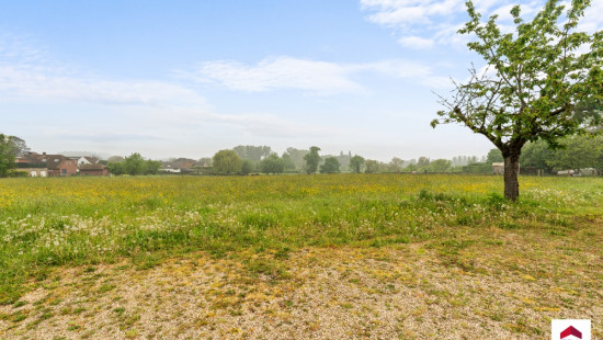 Appelboomstraat - 80 - - 1602