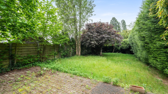 Gentse Baan - 51 - 3 - 9100