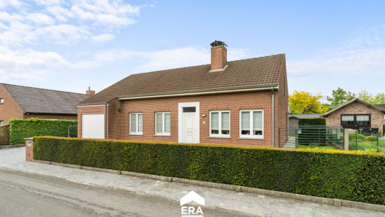 Druivenstraat - 4 - - 8850