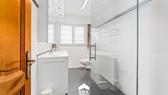 Druivenstraat - 4 - - 8850