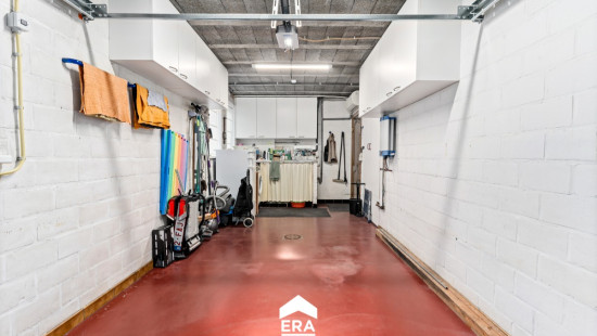 Druivenstraat - 4 - - 8850