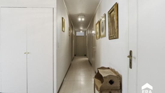 Frezenbergstraat - 5 - - 8908