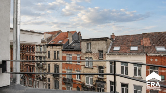 Rue de l'Escaut - 62 - 4 - 1080