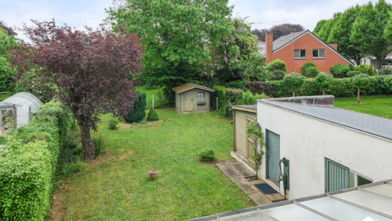 Houtstraat - 41 - - 3800