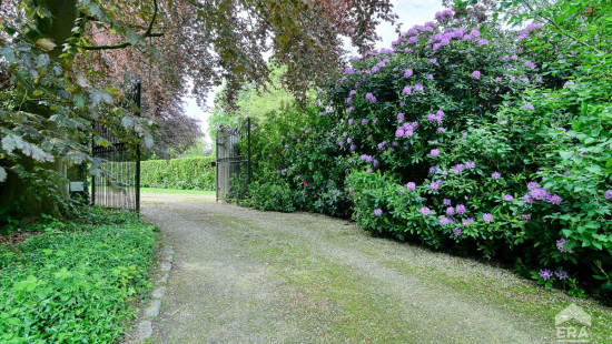 Rue Mont-Plaisir - 37 - - 1430