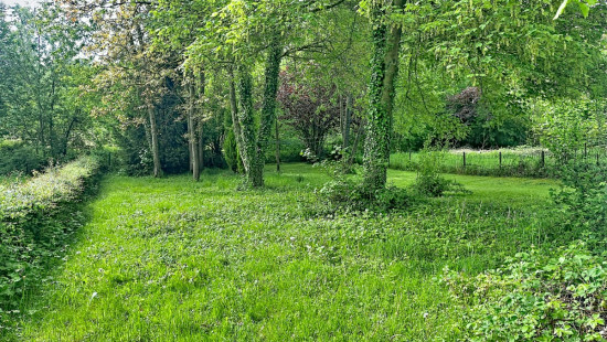 Chemin des Gueuses - 31 - - 4570