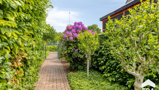 Buitensingel - 2 - - 3920