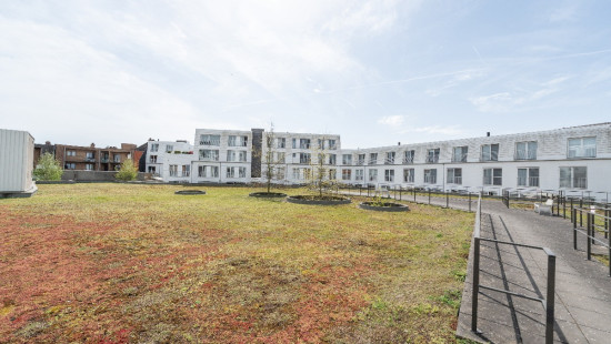 Zelestraat - 7 - 0301 - 9160