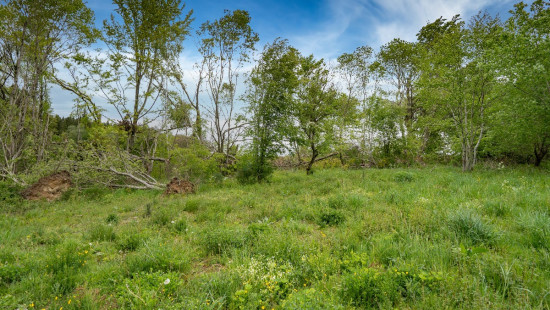 MONTLEBAN - Lot 14 - - 6670