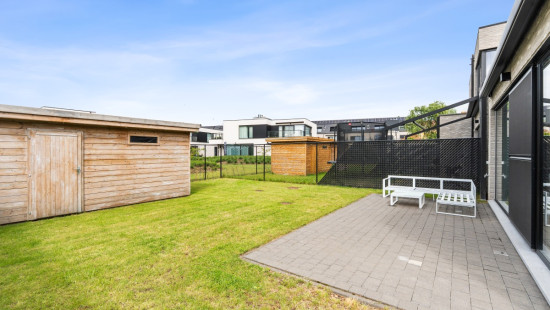 Holbroek - 14B - - 1851
