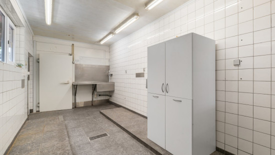 Koning Albertstraat - 49 - - 9900