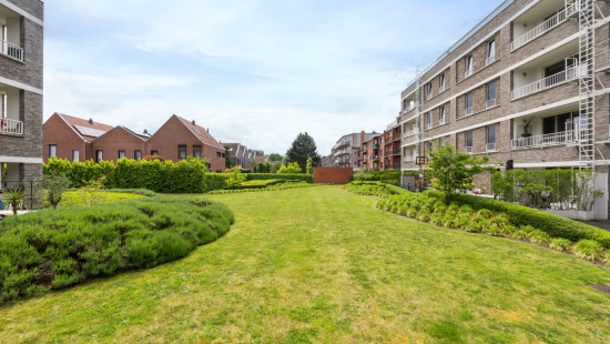 Kanunnik Peetersstraat - 69 - - 2600