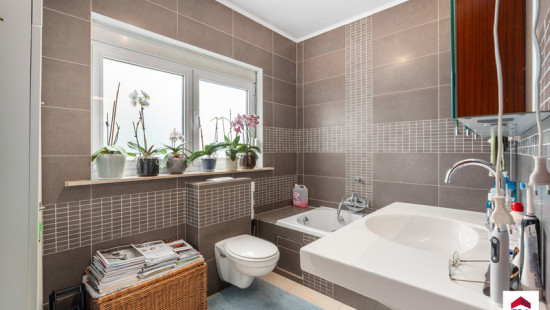Witteramsdal - 2 - - 1730