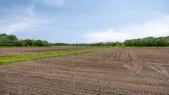 Mechelsesteenweg - 487 - - 2830