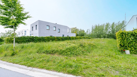 Helmkruidstraat - 53 / A - - 9032