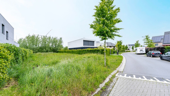 Helmkruidstraat - 53 / A - - 9032