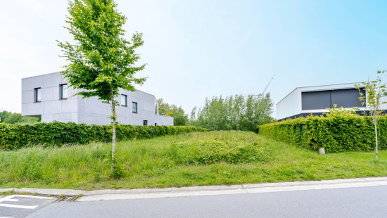 Helmkruidstraat - 53 / A - - 9032