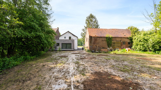 Groteweg - 533 - - 9500