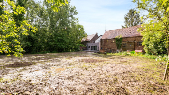 Groteweg - 533 - - 9500