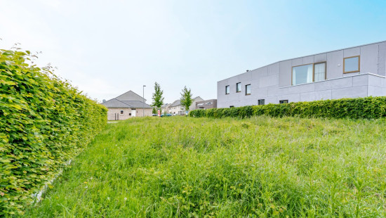 Helmkruidstraat - 53 / A - - 9032
