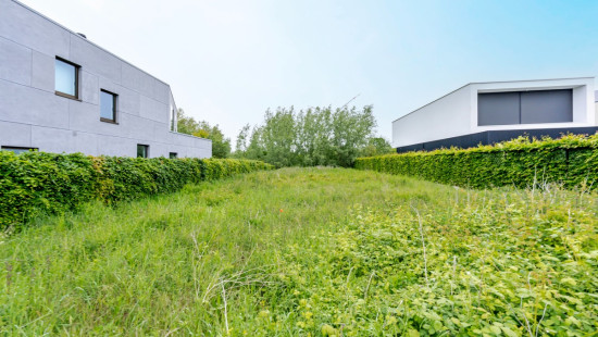 Helmkruidstraat - 53 / A - - 9032