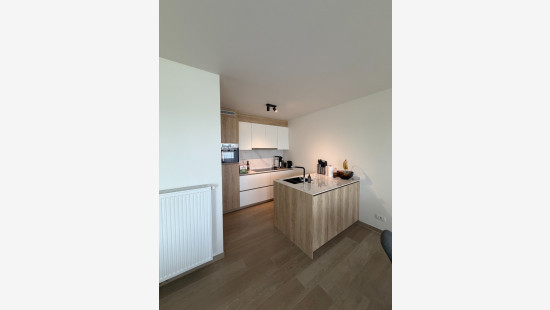 Wingenesteenweg - 29B - 02.03 - 8750