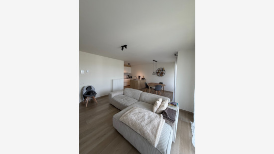 Wingenesteenweg - 29B - 02.03 - 8750