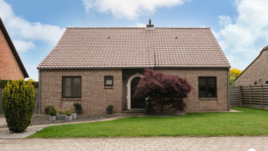 De Kentings - 9 - - 3910