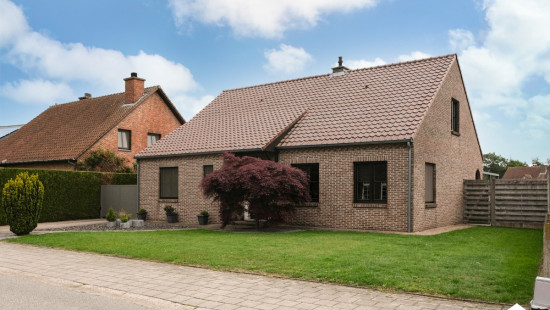 De Kentings - 9 - - 3910