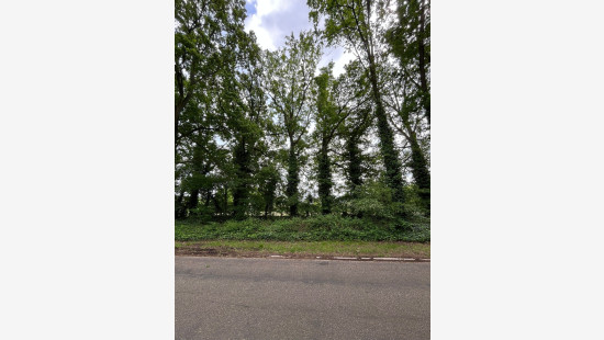 Heidestraat - 85 - - 3550