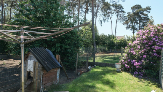 Limberg - 16 - - 2230