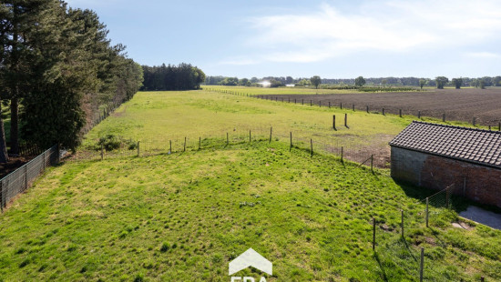 Onze-Lieve-Vrouwlaan - 6 - - 3990