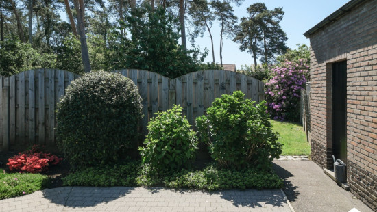 Limberg - 16 - - 2230