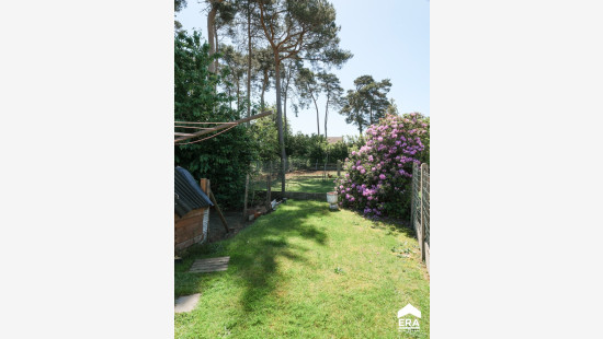 Limberg - 16 - - 2230