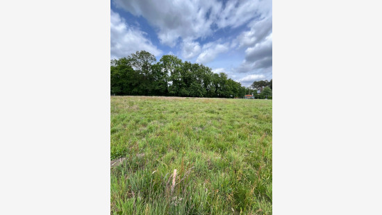 Heidestraat - 85 - - 3550