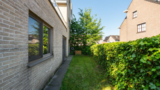Hertjen - 152 - 2 - 9100