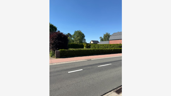 Zonhoekstraat - 113 - - 3910