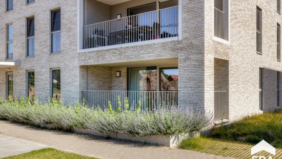 Emilia Biddeloostraat - 46 - 3 - 2440
