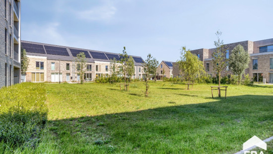 Emilia Biddeloostraat - 46 - 3 - 2440