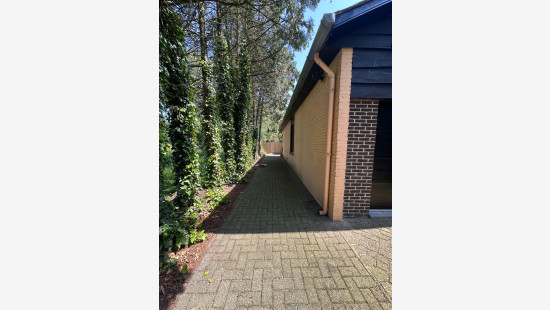 Rijfstraat - 24 - - 3920