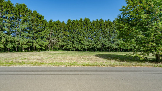 Rue de Bidet - 728/D - - 5590