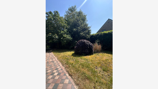 Rijfstraat - 24 - - 3920