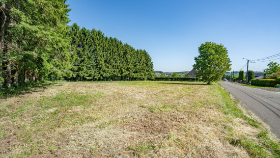 Rue de Bidet - 728/D - - 5590