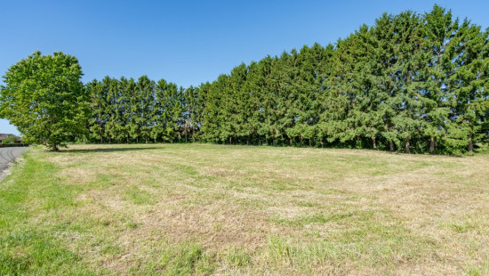 Rue de Bidet - 728/B - - 5590