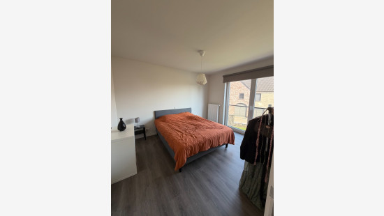Wingenesteenweg - 29A - 01.01 - 8750