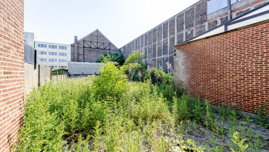 Rue Hamoir - 30 - - 7100